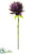 Giant Protea Spray - Eggplant - Pack of 12