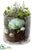 Egg, Succulent Arrangement - Green Turquoise - Pack of 2