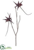 Silk Plants Direct Spider Orchid Branch - Brown - Pack of 6