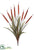 Cattail Grass Bush - Brown - Pack of 12