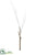 Twig Branch - Brown - Pack of 12