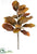 Magnolia Spray - Rust Brown - Pack of 12