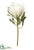 King Protea Spray - Cream - Pack of 12