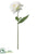 Dahlia Spray - Cream - Pack of 12