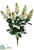 Snapdragon Bush - Cream - Pack of 12