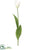 Silk Plants Direct Dutch Tulip Spray - Cream - Pack of 12