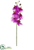 Silk Plants Direct Phalaenopsis Orchid Spray - Orchid Cream - Pack of 12