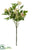 Viburnum Spray - Pink Cream - Pack of 12