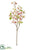 Dogwood Spray - Pink Cream - Pack of 12