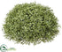 Silk Plants Direct Boxwood Half Ball - Green - Pack of 6