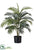 Silk Plants Direct Areca Palm Tree - Green - Pack of 6