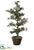 Silk Plants Direct Ice Pine Tree - Green - Pack of 4