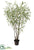 Eucalyptus Tree - Green - Pack of 1