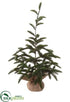 Silk Plants Direct Pine Tree - Green - Pack of 4