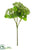 Sedum Spray - Green - Pack of 12