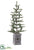 Silk Plants Direct Pine Tree - Green - Pack of 2