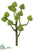 Sedum Spray - Green - Pack of 12