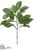 Viburnum Tinus Spray - Green - Pack of 12