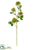 Allium Spray - Green - Pack of 12