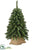 Silk Plants Direct Pine Tree - Green - Pack of 12