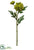 Dahlia Spray - Green - Pack of 12