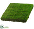 Silk Plants Direct Moss Mat - Green - Pack of 6