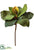 Magnolia Bud Spray - Green - Pack of 12