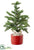 Pine Tree - Green - Pack of 2