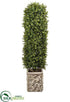 Silk Plants Direct Boxwood - Green - Pack of 1