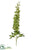 Delphinium Spray - Green - Pack of 12