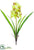 Silk Plants Direct Cymbidium Orchid Plant - Green - Pack of 6