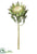 Protea Spray - Green - Pack of 12