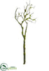 Silk Plants Direct Manzanita Branch - Green - Pack of 4