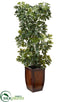 Silk Plants Direct Schefflera Tree - Green - Pack of 1