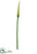 Silk Plants Direct Calla Lily Spray - Green - Pack of 12