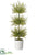 Myrtle Topiary - Green - Pack of 2