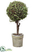 Silk Plants Direct Baby's Tear Ball Topiary - Green - Pack of 4