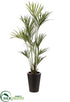 Silk Plants Direct Kentia Palm - Green - Pack of 1