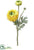 Ranuculus Spray - Yellow Green - Pack of 12