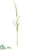 Foxtail Spray - White Green - Pack of 12