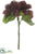 Hydrangea Spray - Burgundy Green - Pack of 12