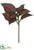 Coleus Leaf Spray - Burgundy Green - Pack of 12