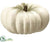 Pumpkin - Gray Green - Pack of 2