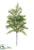 Pine Spray - Gray Green - Pack of 12