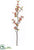 Berry Branch - Orange - Pack of 6