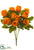 Rose Bush - Orange - Pack of 12