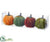 Pumpkin - Green Orange - Pack of 6