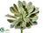 Succulent Stem - Green - Pack of 6