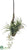 Tillandsia Hanging Branch - Green - Pack of 12