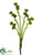 Sedum Spray - Green - Pack of 24